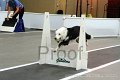IMG_7180