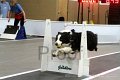 IMG_7181
