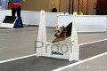 IMG_7182