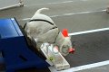 IMG_7191