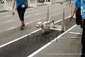 IMG_7193