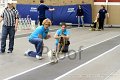 IMG_7196