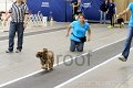 IMG_7197