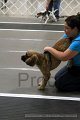 IMG_7225