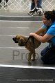 IMG_7226