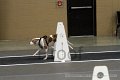IMG_7230