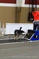 IMG_7237