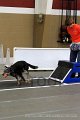 IMG_7238