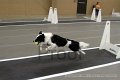IMG_7268