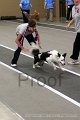 IMG_7274