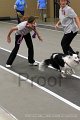 IMG_7275