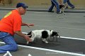 IMG_7290