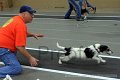 IMG_7291
