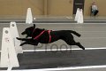 IMG_7358