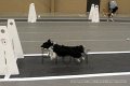 IMG_7364