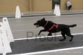 IMG_7369