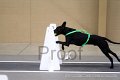 IMG_7381