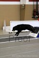 IMG_7444