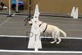 IMG_7523