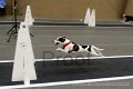 IMG_7530