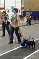 IMG_7541
