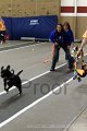 IMG_7548