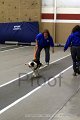 IMG_7550