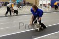 IMG_7556