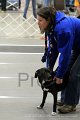 IMG_7559