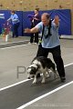 IMG_7612