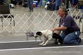 IMG_7620