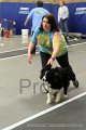 IMG_7637