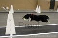 IMG_7658