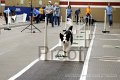 IMG_7732