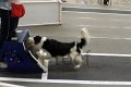IMG_7750