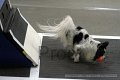 IMG_7760