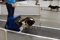 IMG_7770