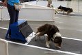 IMG_7771