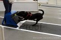 IMG_7774