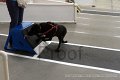 IMG_7775