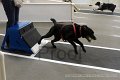 IMG_7777