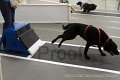 IMG_7778