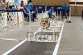 IMG_7799