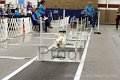 IMG_7800