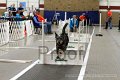 IMG_7823