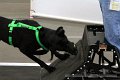 IMG_7834
