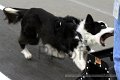 IMG_7840