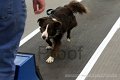 IMG_7866