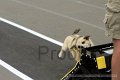 IMG_7930