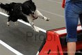 IMG_7946
